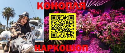 гашик Балашиха