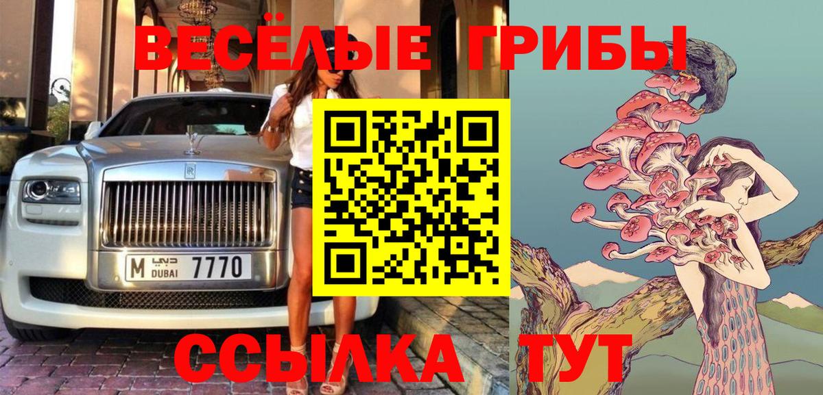Псилоцибиновые грибы Psilocybine cubensis Жигулёвск