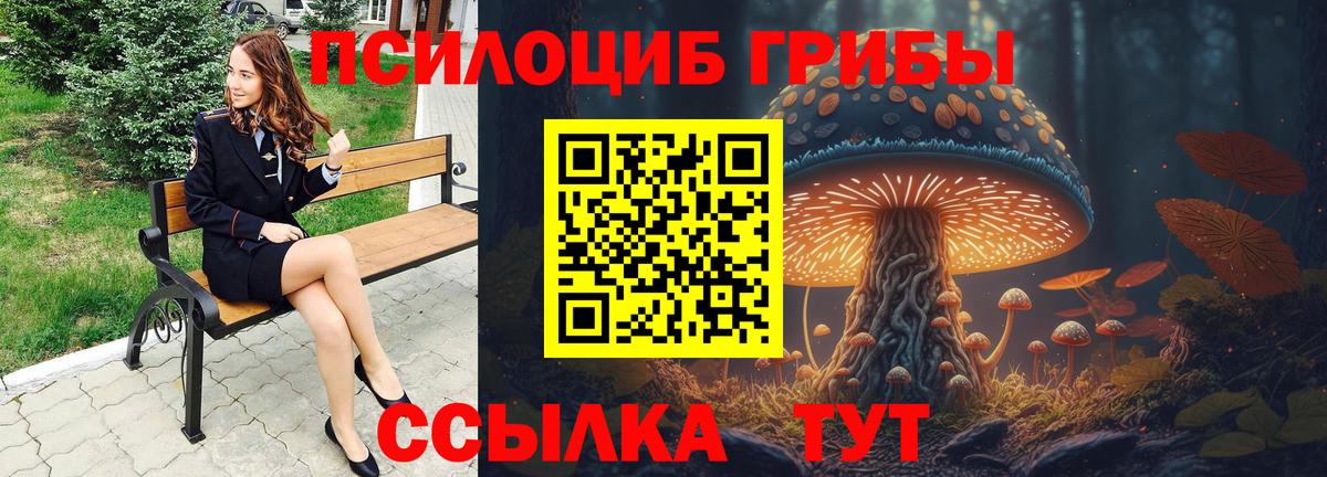 Жигулёвск  Псилоцибиновые грибы мухоморы  купить  цена  Вход с VPN  Галлюциногенные грибы Cubensis 