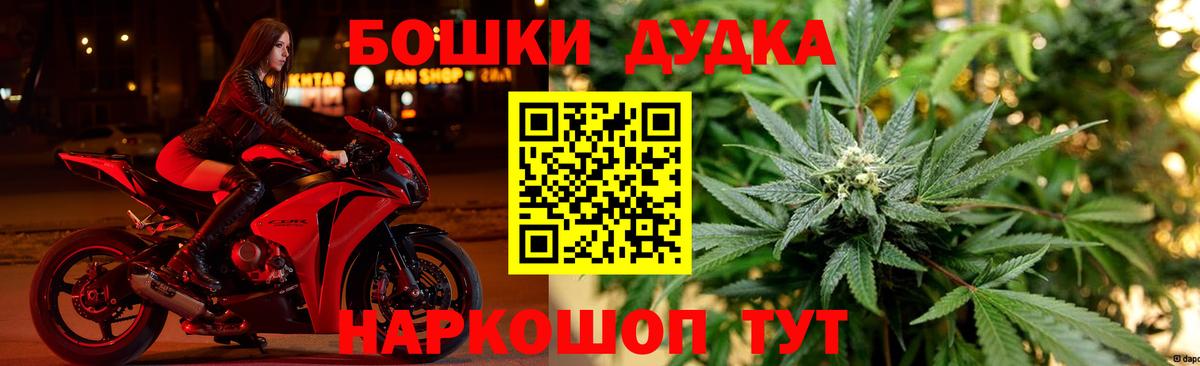 Каннабис планчик Жигулёвск